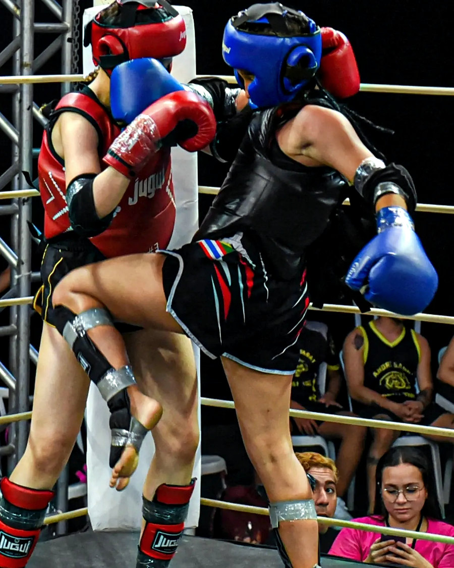 Joelhada no clinch